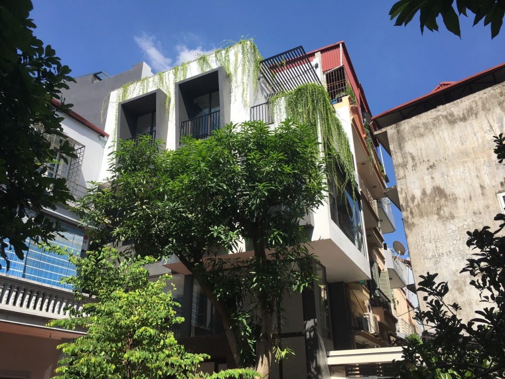 Góc nhìn chụp từ sân chung